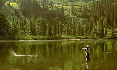 Fly Fishing Montana