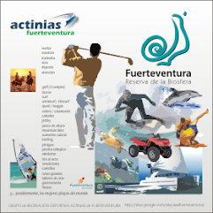 Conoce Fuerteventura