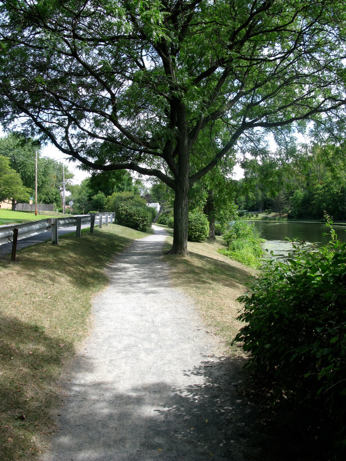 Kid Friendly Albany Buckingham Lake Park