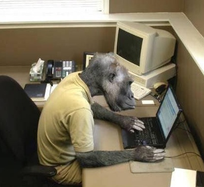 [computer_monkey.jpg]