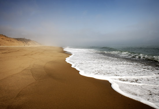 [_capecod_7902.jpg]
