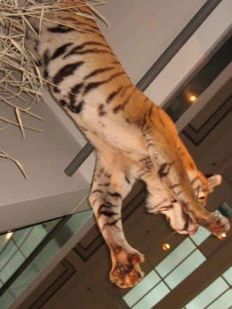 [leaping.jpeg]