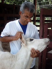 Técnico em Agropecuária