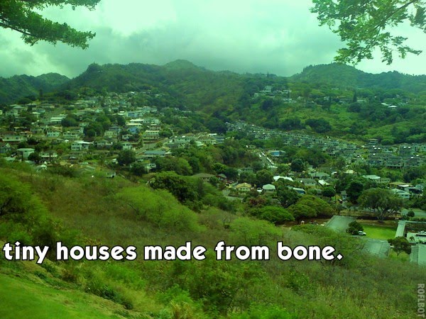 Tiny Houses Made From Bone