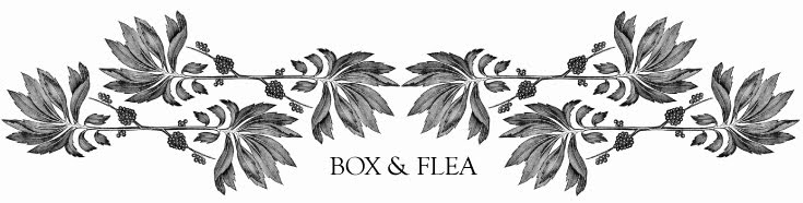 Box & Flea