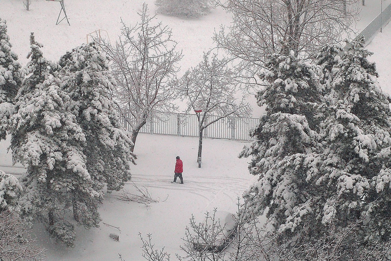 Snow In India