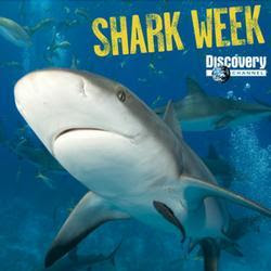 shark-week-photo.jpg