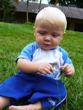 Curious Face on the Grass