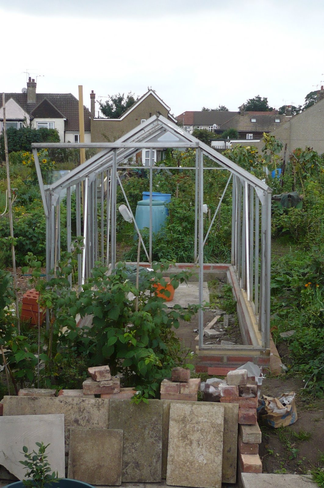 [allotment+late+august+2008+025.JPG]