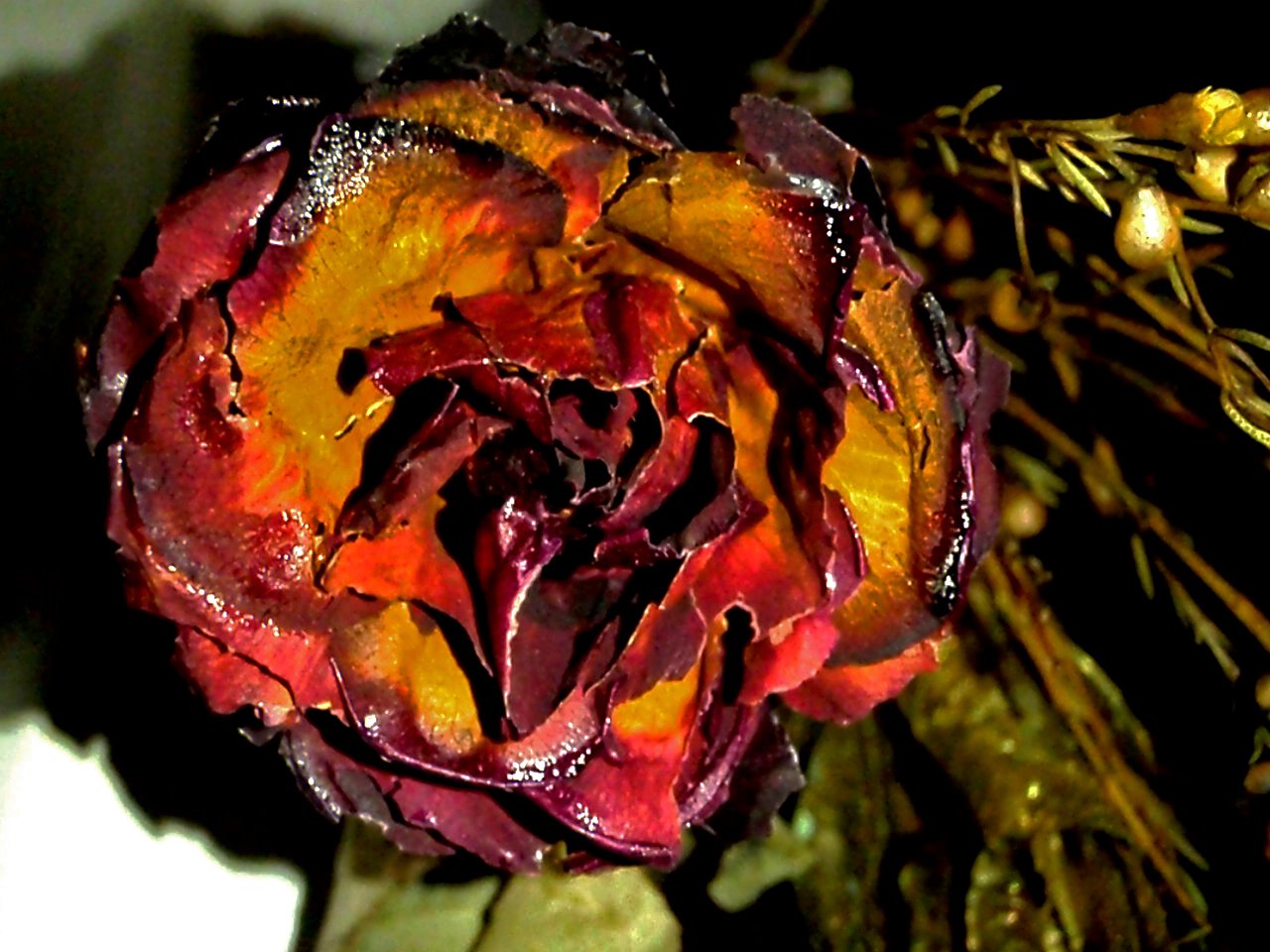 [PC140367.JPG]