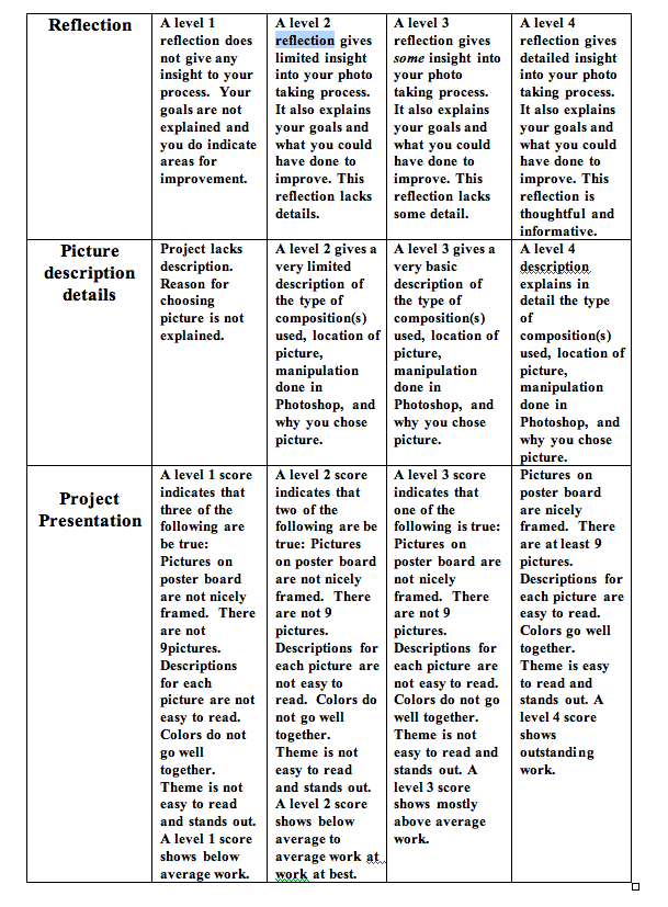 Photo essay rubric