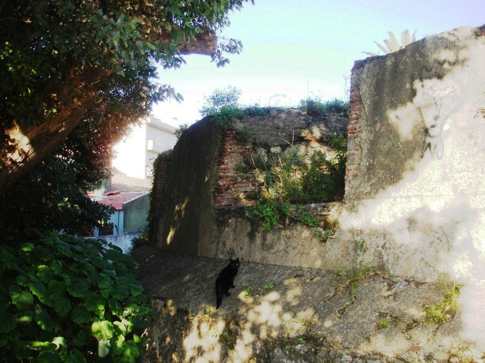 [DSC02575.JPG]