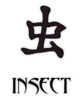 Kanji Tattoo Symbols Meanings Insect