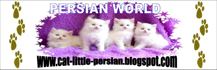 Persian World