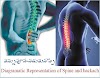 Tips to lessen Backbone pain ,వెన్నునొప్పి తగ్గడానికి చిట్కాలు