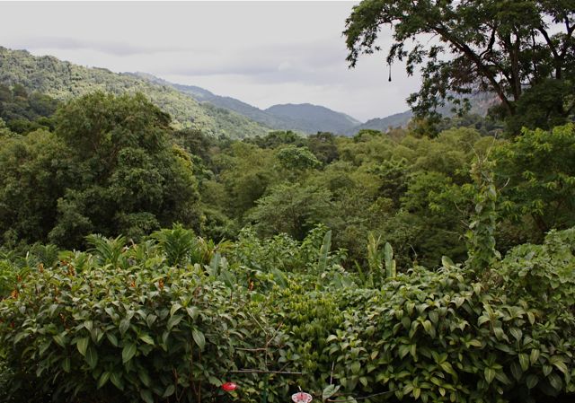 [AsaVerandahView.jpg]