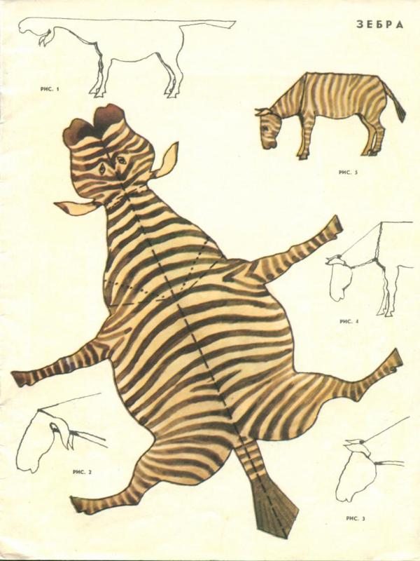[zebra.jpg]