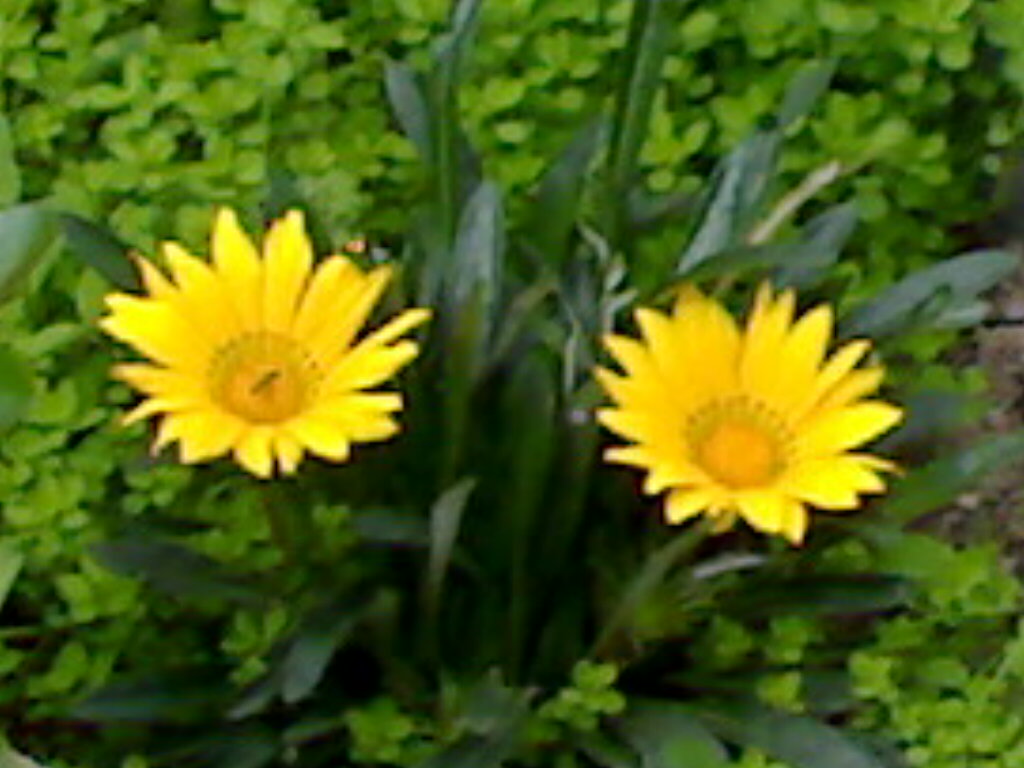 [15042008140.jpg]
