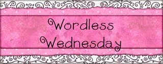 [Wordless+Wednesday_thumb[4].jpg]