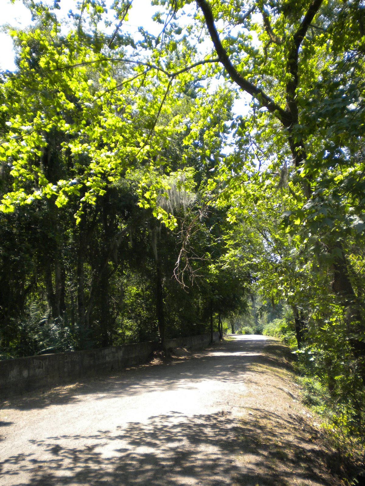 [DSCN1111.JPG]