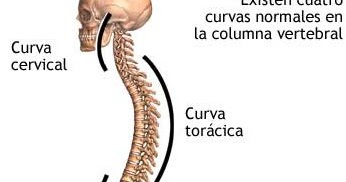 Indemnizaciones Laborales Por Hernia De Disco Cobre A La | indemnizaciones laborales por hernia de disco cobre a la Indemnizaciones Laborales Por Hernia De Disco Cobre A La | indemnizaciones laborales por hernia de disco cobre a la