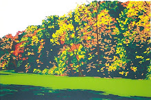 AUTUMN IN FERN HOLLOW original screenprint signed and numbered