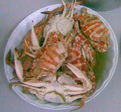 Ketam