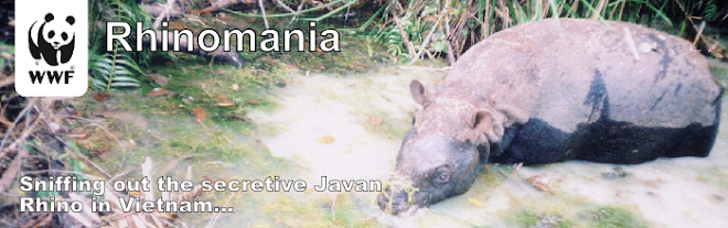 Rhinomania!