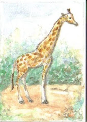 Giraffe for Amanda