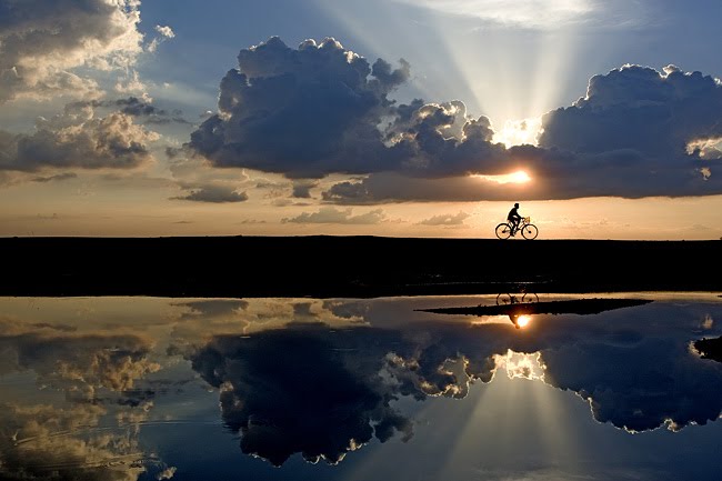 [the-cyclist.jpg]