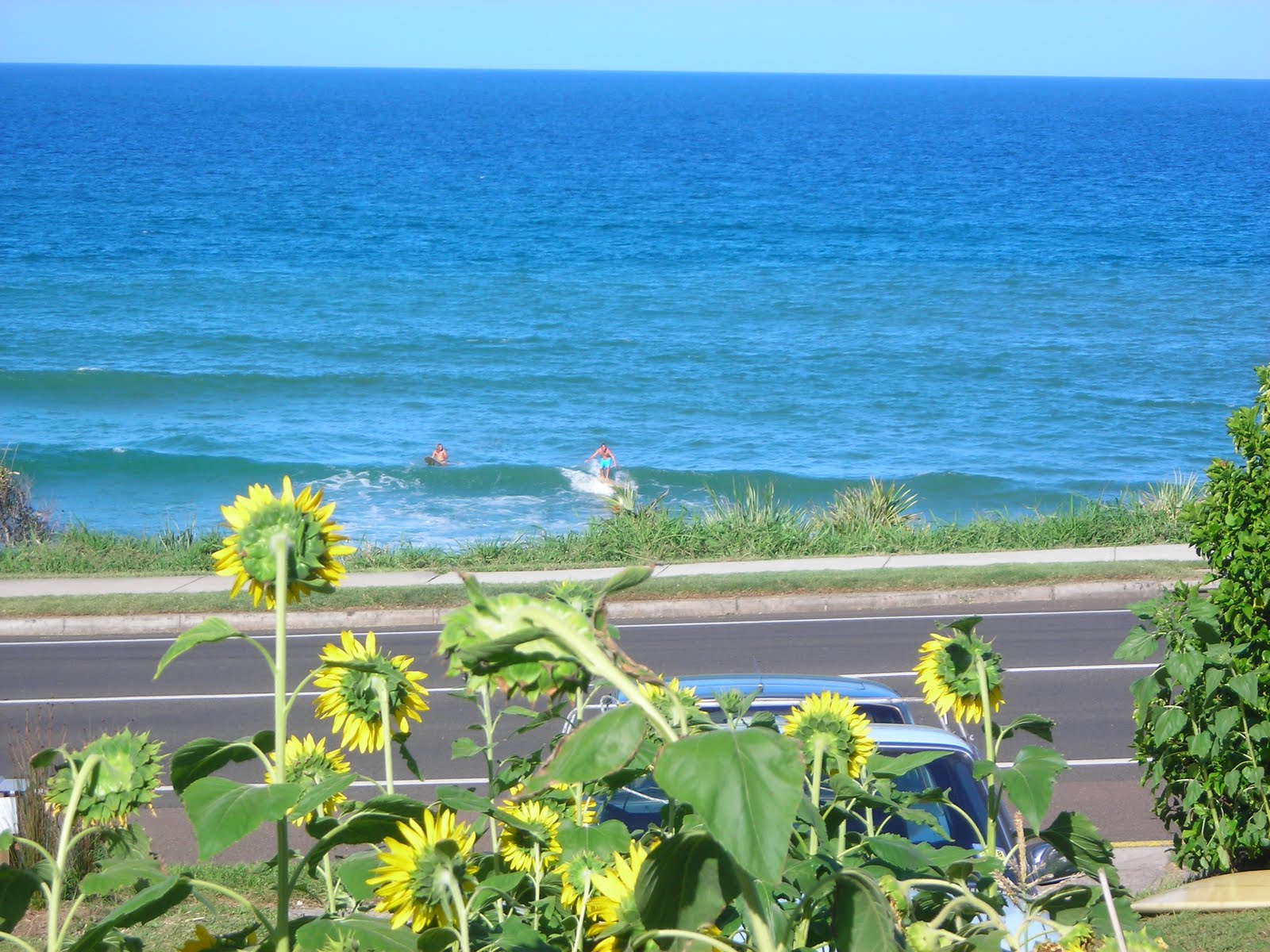 [DSCN6065.JPG]