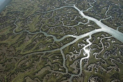 Earth's Fractal Brain From Above @ strange world