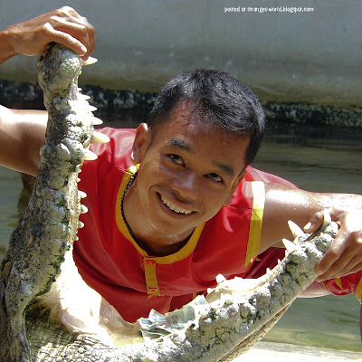 Crocodile wrestlers @ strange world