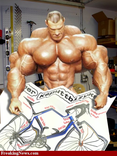 [Bodybuilder-Biker--30724.jpg]