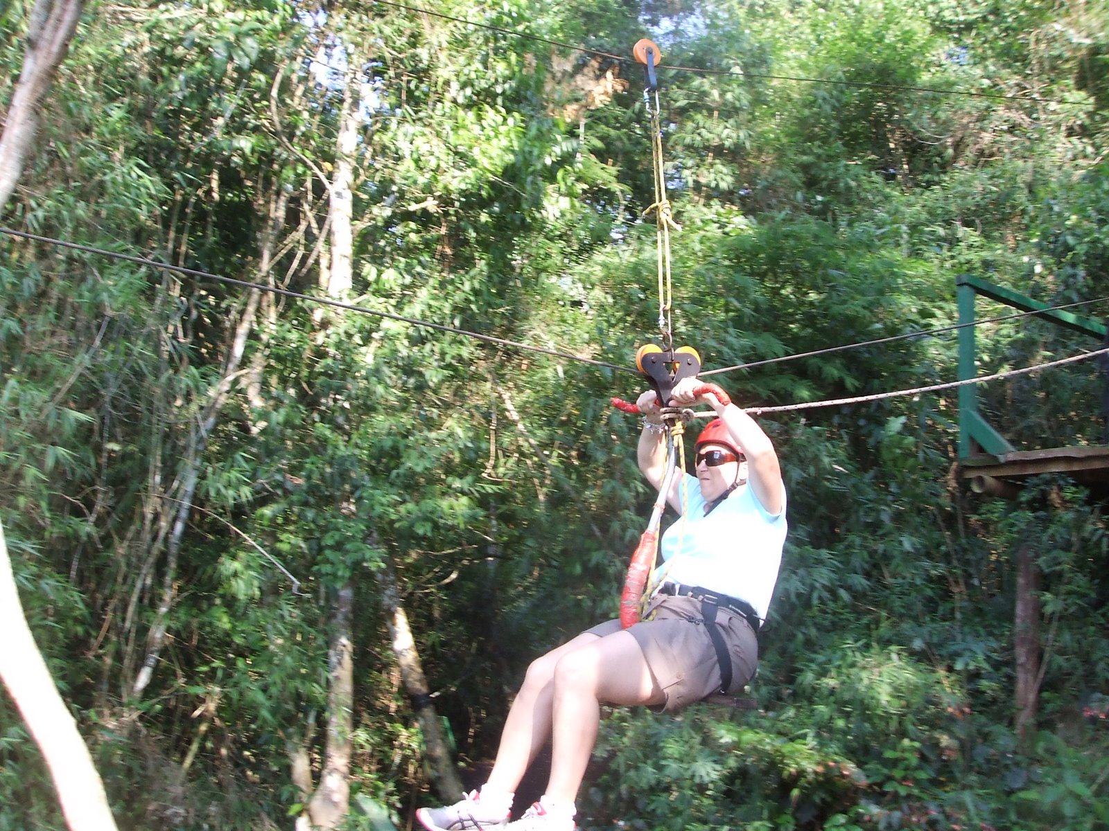 [DSCF0677.JPG]