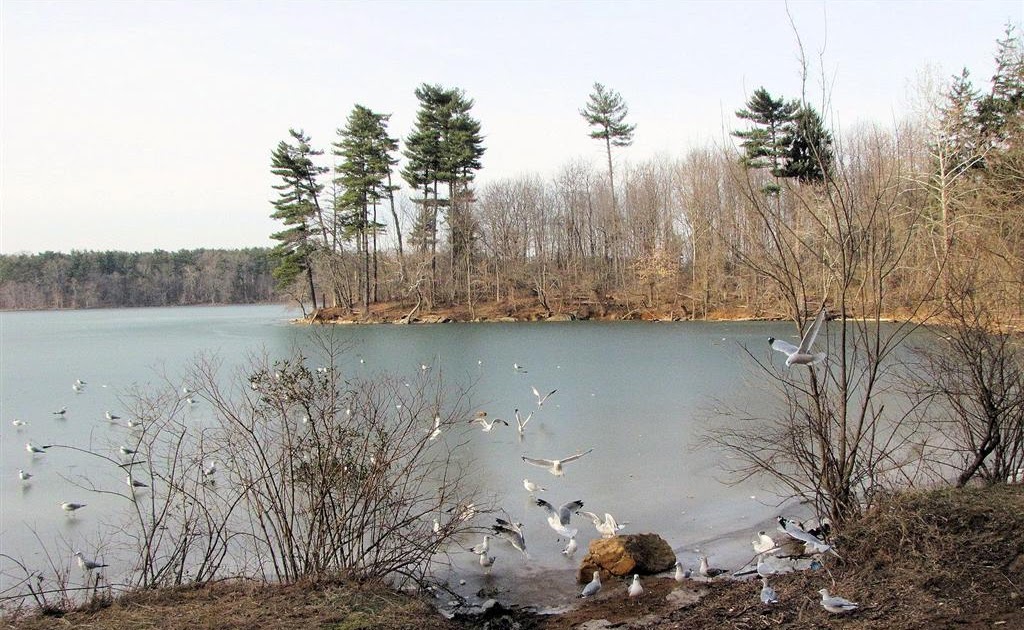 Loch Raven Nature Center Loch Raven Nature Center