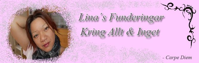 Lina's Funderingar...