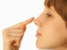 http://2.bp.blogspot.com/_DXn1QsESj90/TLZmlXSAqLI/AAAAAAAAAko/vkGkpq9jEpE/s400/komedo.jpg