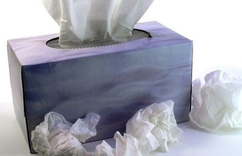 makeup the common cold and common cold virus structure. makeup the common cold and
