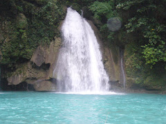 KAWASAN FALLS...