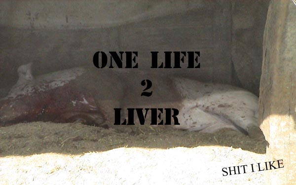 ONE LIFE 2 LIVER