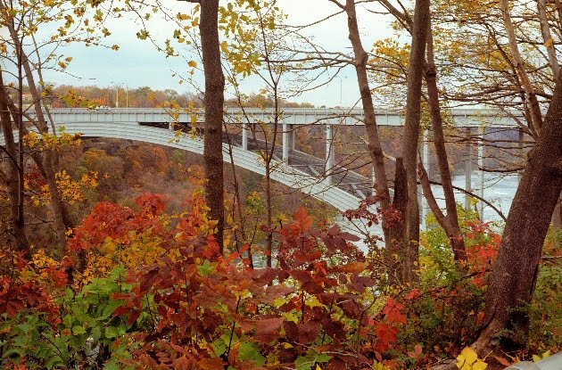 Niagara falls essays