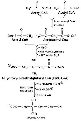 aggrenox thuốc