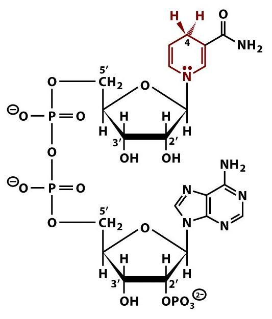 [Name_This_Molecule_#11.jpg]