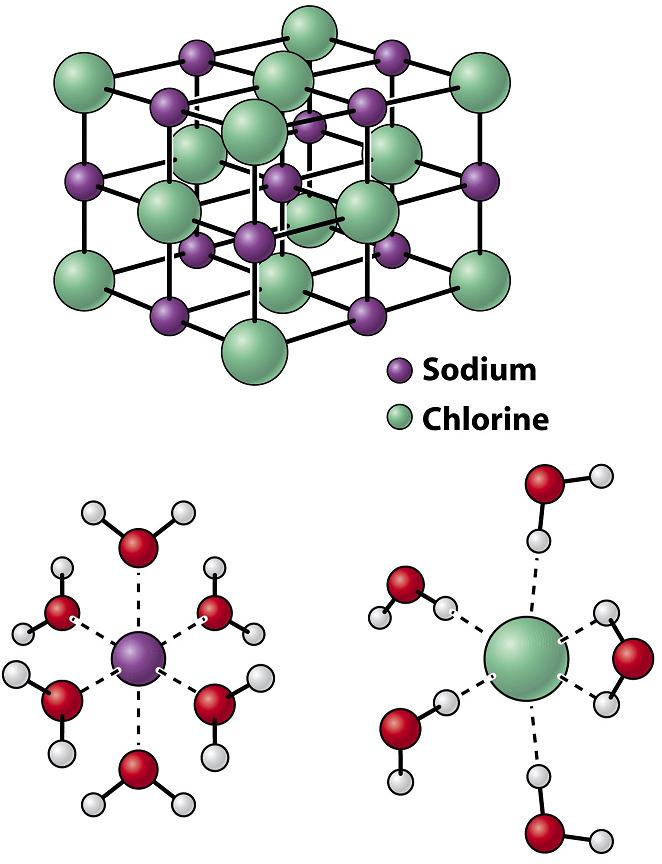 How To Name Compounds. compound cantif someone