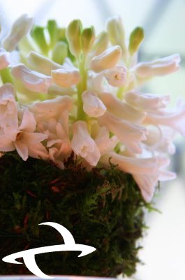 [Spring+16.JPG]