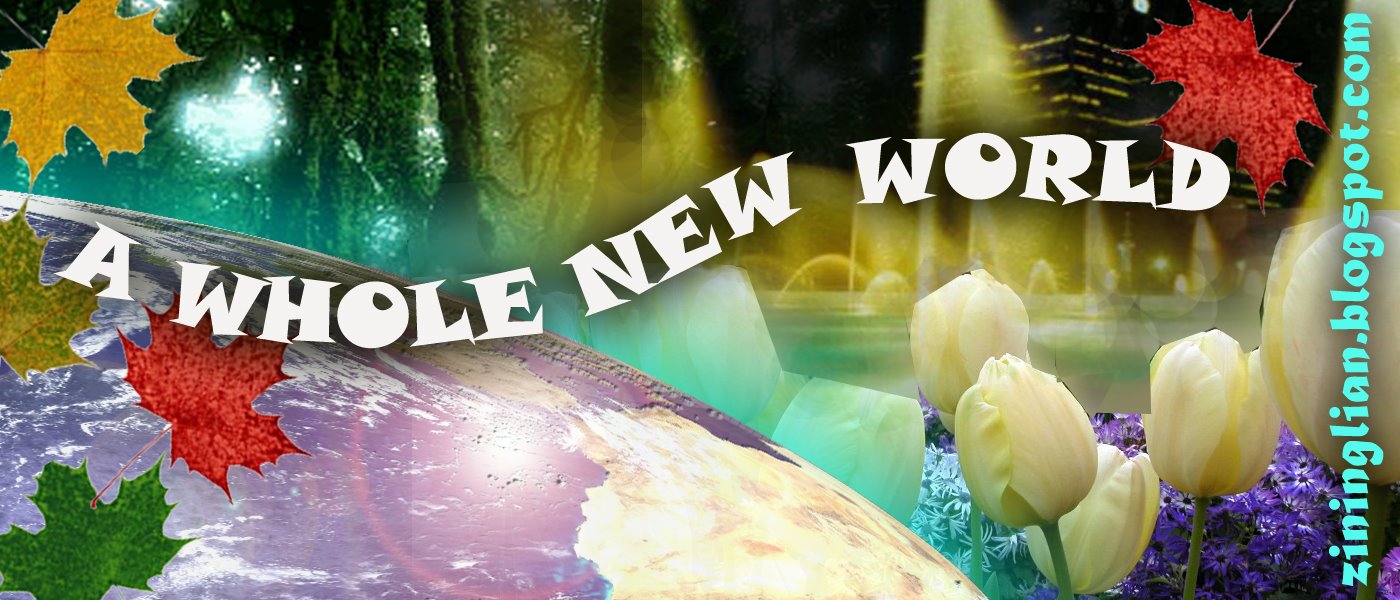 A Whole New World 一个崭新的世界
