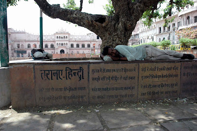 Sleeping+man+under+tree