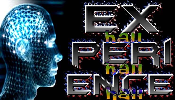 ..::   Experience Hall   ::..