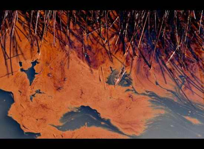 spill oil obama